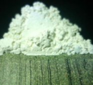 Powder Pigments - Gold pearl