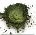 SX Australian Bush Green