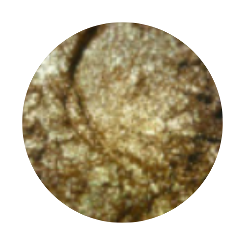 Metal Powder – True Gold